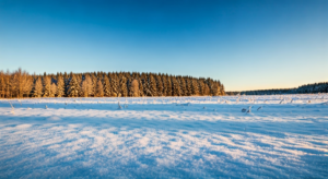Sennik śnieg – co oznacza sen o śniego w Twoim życiu?